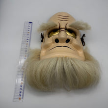 Load image into Gallery viewer, Omoikane Mask