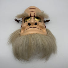 Load image into Gallery viewer, Omoikane Mask
